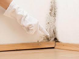 Best Mold Damage Restoration  in Cramerton, NC